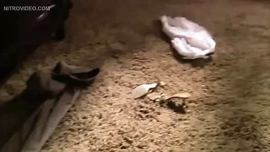 porno yıldızı kehribar smith