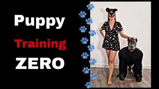 Femdom köpek yavrusu eğitim oyun kuyruk getirme aşağılama büyük buttplug erkek köle eğitim sıfır bayan kuzgun gerçek flr