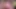 18 yaşındaki genç porno başlangıcı - sert seviyor ve içine boşalmayı seviyor - 3 boyutlu sansürsüz