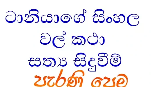 Sinhala wela katha – gerçek hikaye, eski erkek arkadaşımla yanlışlıkla tanışmak