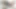 Mazzy Grace seni ilk kalenin ötesine götürecek