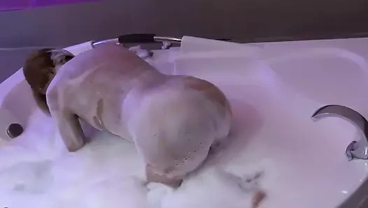 Üvey erkek kardeşimin büyük yarağı beni tutkuyla deli ediyor, motel jakuzisinde bundan zevk alıyorum