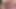 Piggy Rose büyük ayı ve lucipork ile xbiz miami'de yayın yapıyor