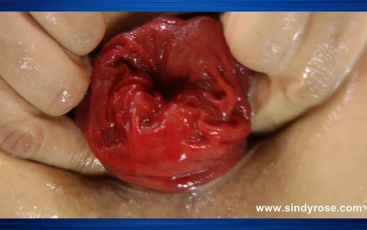 Sindy Rose kendi kendine anal yumruk sokuyor ve göt deliğini mahvediyor sarkma