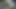 Bugün bir porno yıldızı olan güzel kız roxana'nın ilk seçmeleri. o bir seks oyuncağı ile onu traş kedi mastürbasyon