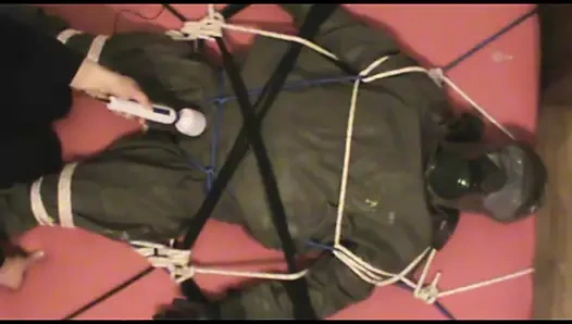 Zodyak içinde ölçülü