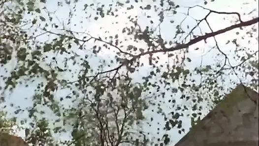 RL -Grandes- Vicelardes-