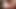 Büyük götlü iki topheavy orta yaşlı seksi kadın bir boğayla üçlü seks yapıyor