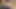 Yaramaz genç kız onları derinden emdikten sonra iki deneyimli adam tarafından sert sikiliyor