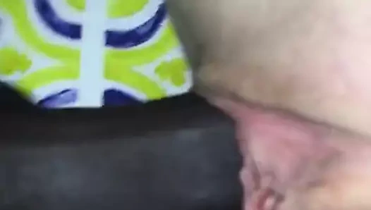 Siyah çük delme bir beyaz kedi