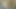 Büyük zenci yarağı döle aç esmerin içine boşalıyor