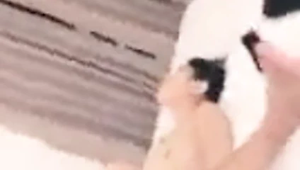 Asya bire bir üçlü