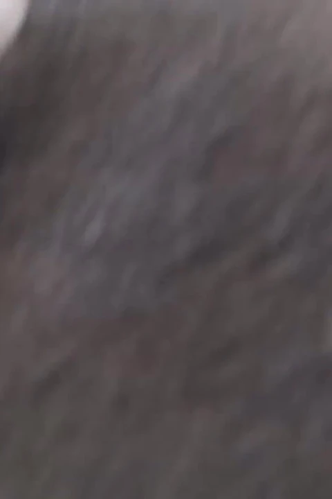 Chenge bir mağazada ıslak külot