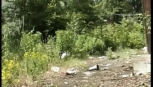 Пухлая тинка толкает эту белую игрушку в ее дырку на солнце