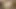 Masum karma eğitim yapan ava küçük olduğunu alıyor çarptım tarafından bir şanslı inek