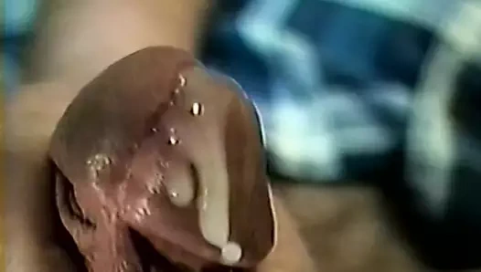 Daddy Kal büyük bir döl çekiyor