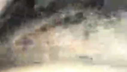 Ters sürme the dick