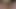 Güzel minyon latina janice griffith losyonları ona kedi