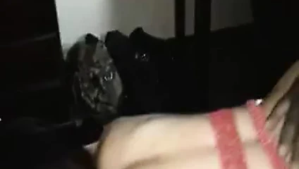 Büyük popo abanoz yok anal