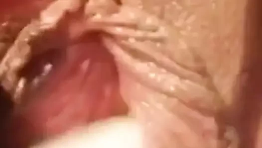 ıslak ve tatlı KEDİ