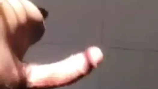 Büyük Tunuslu yarak