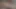 Yine üvey kız kardeş evde yalnızken üvey erkek kardeşiyle oynuyor