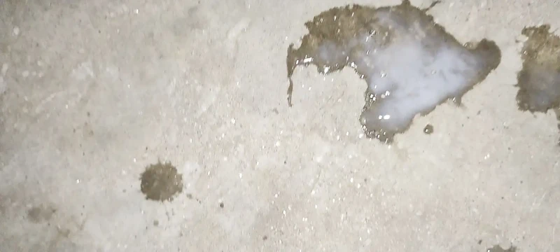 Boşalıyor tam video adamlar vay canına bakıyor