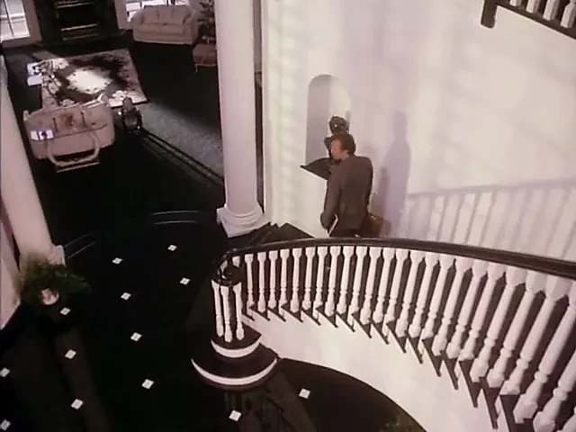 Cinsel kötülük (1994)