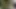 Büyük doğal memeli esmer kadın fotoğraf çekiminin ardından sert sikişiyor
