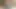 Hl seksi içinde gri pantolon allsex