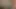 Dik Çek lezbiyenler içinde lapdance ve darbe iş eylem