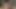Japon kız porno videoda tıraşsız amcığını sikiyor