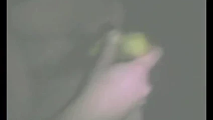 Papatya muz ağacı 3