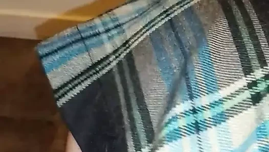 Yavru kedi cara petplay: süt içmek