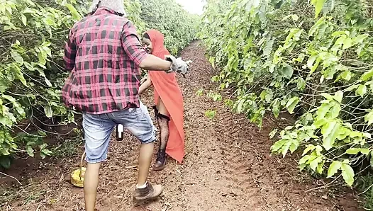 Büyük Kötü Kurt, ormanda Küçük Başlıklı Kız ile karşılaşır ve onu yiyerek yeter. Yaramaz Küçük Başlıklı Harika Bir Yemek