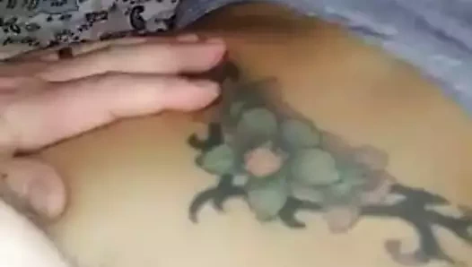 The worlds en iyi KEDİ alır cresmpie