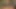 Üvey baba porno izlerken büyük götlü bir öğrenciyi yakaladı ve ceza olarak ona kedi geldi