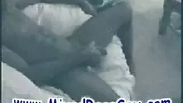 hile karısı için siyah horoz