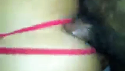 Olgun anal tarafından sadık