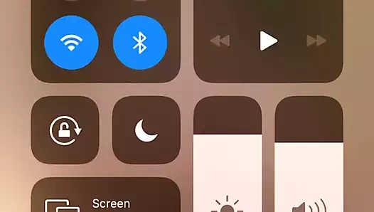 Sg xmm ifşa ona kedi