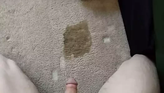 yatak odamda halı işemek