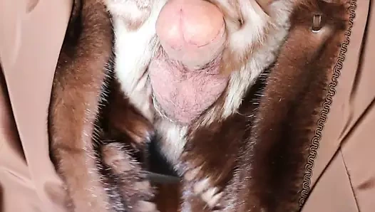 Vizon giyen tilki kürkü vuruşu