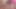 Japon avlusunda sevimli pembe saçlı kız yoğun çılgın seks yapıyor