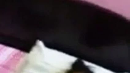 Göğüslerine dokunmak