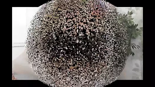 Baskın oral seks içinde ofis tarafından bizarre kör milf enayi bayan