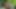 Edepsiz sarışın götüne büyük bir yarak alıyor