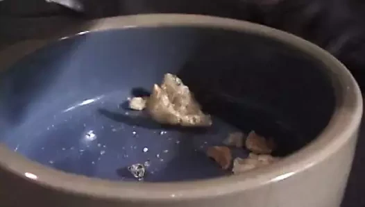 Güzel kız köle adamın kıçına tokat atar ve onu emmesini sağlar