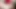 Yüz dildo - on günlük oyuncaklar ve azdırma: 6. gün
