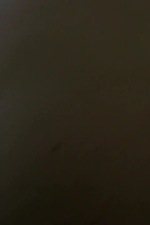 Wyatt gerçekten yarağın tadını çıkarıyor!