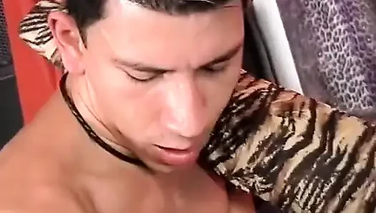 Latin göt için sert yarak